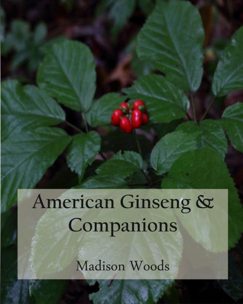 Cover of the book American Ginseng & Companions by Madison Woods, Madison Woods