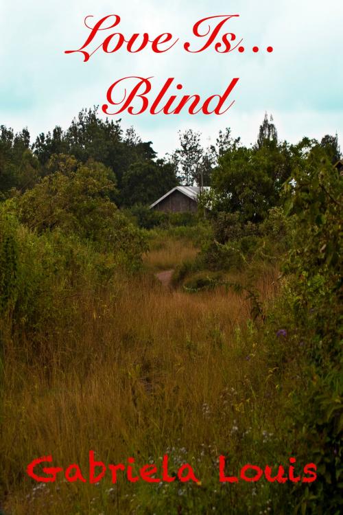 Cover of the book Love is...Blind by Gabriela Louis, Books For The Hungry