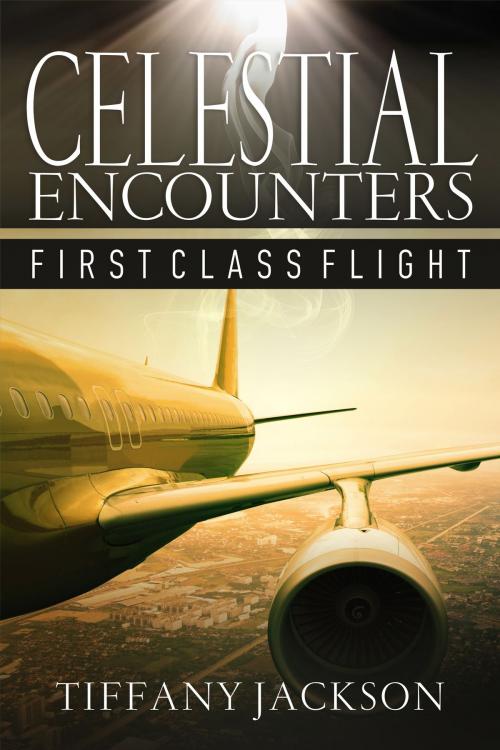 Cover of the book Celestial Encounters: First Class Flight by Tiffany Jackson, Tiffany Jackson