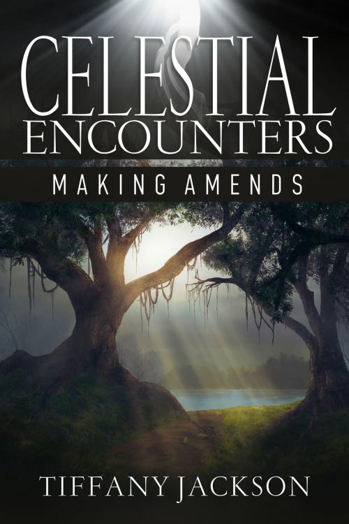 Cover of the book Celestial Encounters: Making Amends by Tiffany Jackson, Tiffany Jackson