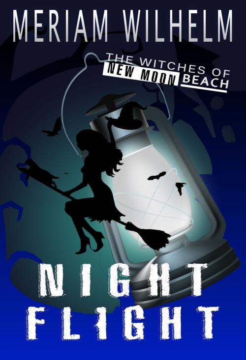 Cover of the book Night Flight by Meriam Wilhelm, Meriam Wilhelm