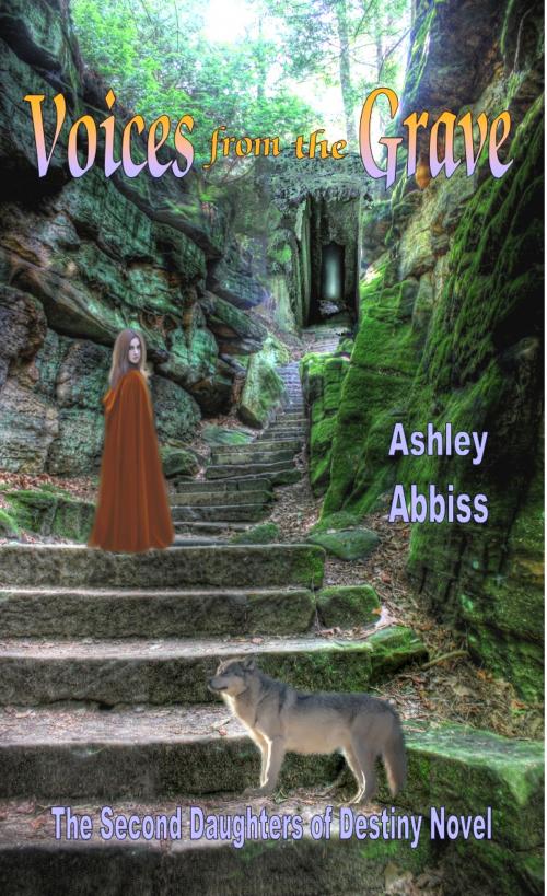 Cover of the book Voices from the Grave by Ashley Abbiss, Ashley Abbiss