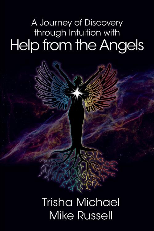 Cover of the book A Journey of Discovery through Intuition with Help from the Angels by Mike Russell, Trisha Michael, Mike Russell