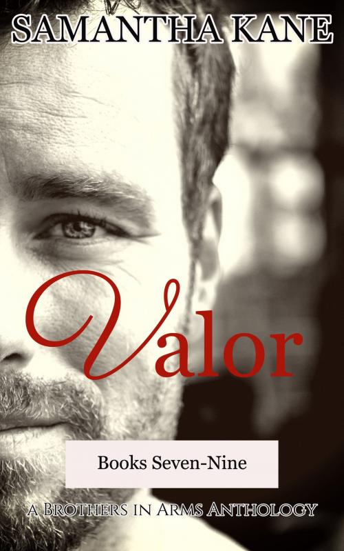 Cover of the book Valor by Samantha Kane, SK Publishing LLC