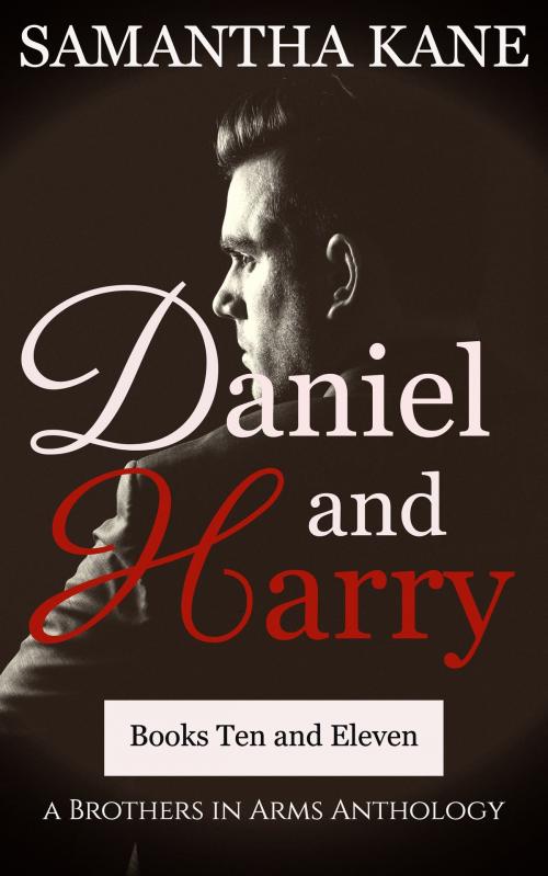 Cover of the book Daniel and Harry by Samantha Kane, SK Publishing LLC