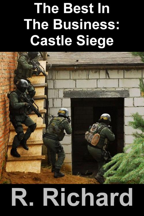 Cover of the book The Best In The Business: Castle Siege by R. Richard, R. Richard