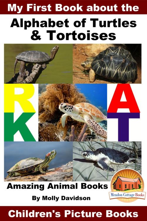 Cover of the book My First Book about the Alphabet of Turtles & Tortoises: Amazing Animal Books - Children's Picture Books by Molly Davidson, Mendon Cottage Books