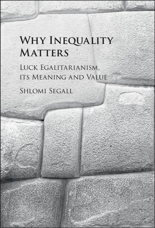 Cover of the book Why Inequality Matters by Shlomi Segall, Cambridge University Press