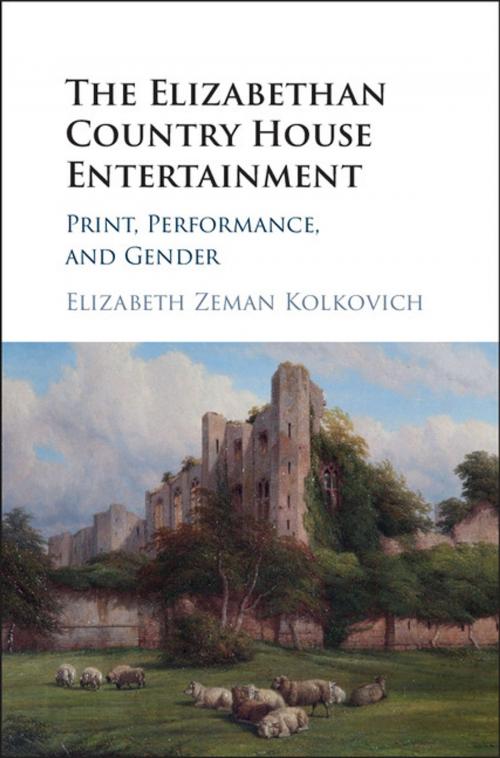 Cover of the book The Elizabethan Country House Entertainment by Elizabeth Zeman Kolkovich, Cambridge University Press