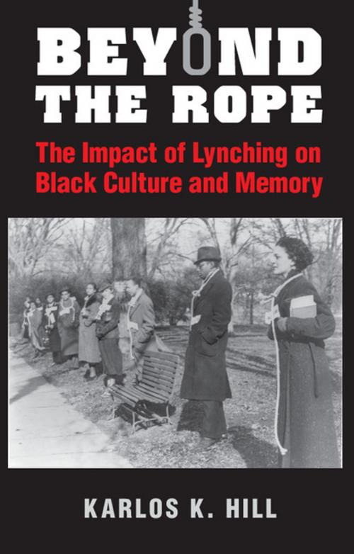 Cover of the book Beyond the Rope by Karlos K. Hill, Cambridge University Press
