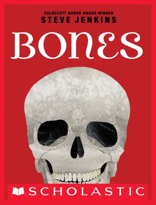 Cover of the book Bones: Skeletons and How They Work by Steve Jenkins, Scholastic Inc.
