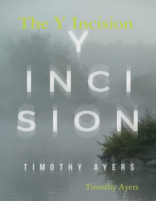 Cover of the book The Y Incision by Timothy Ayers, Lulu.com