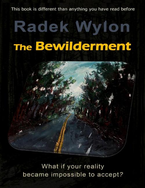 Cover of the book The Bewilderment by Radek Wylon, Lulu.com