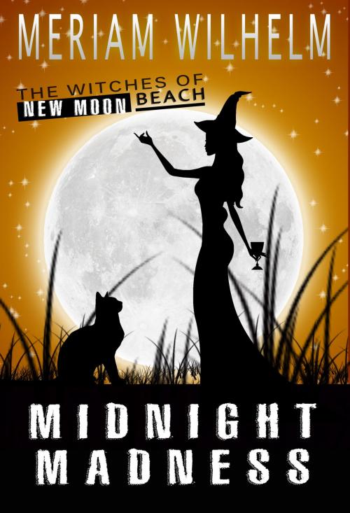 Cover of the book Midnight Madness by Meriam Wilhelm, Meriam Wilhelm