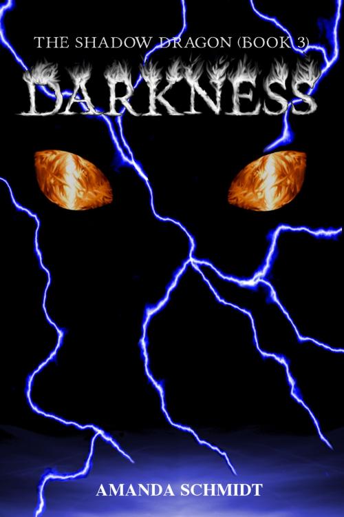 Cover of the book The Shadow Dragon (Book 3): Darkness by Amanda Schmidt, Amanda Schmidt