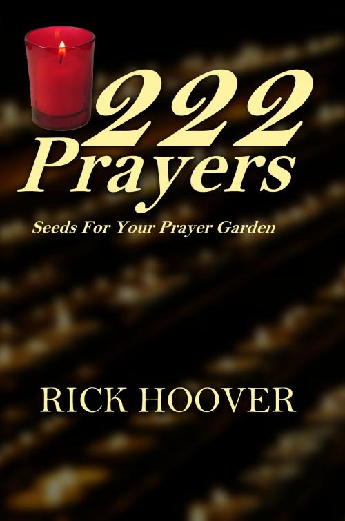Cover of the book 222 Prayers by Rick Hoover, Pelican Wings