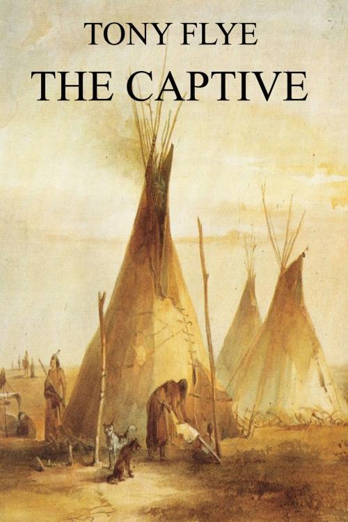 Cover of the book The Captive by Tony Flye, Tony Flye