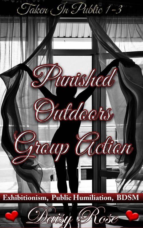 Cover of the book Punished Outdoors Group Action (Taken In Public 1 - 3) by Daisy Rose, Fanciful Erotica