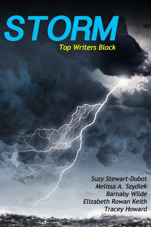 Cover of the book Top Writers Block Storm by Top Writers Block, Top Writers Block
