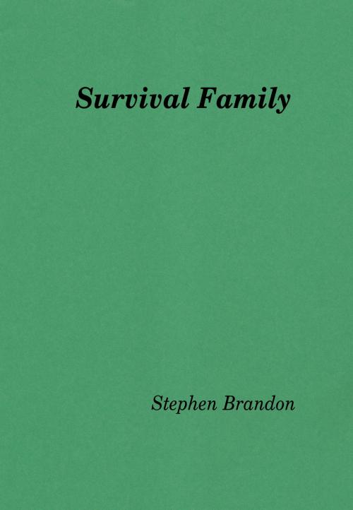 Cover of the book Survival Family by Stephen Brandon, Stephen Brandon