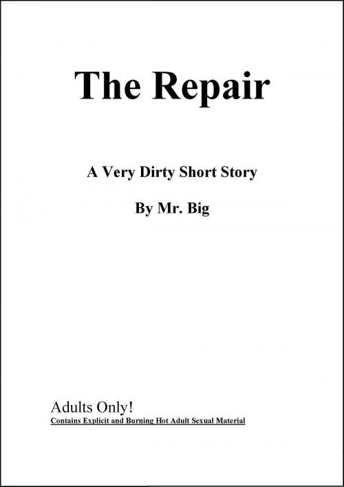 Cover of the book The Repair by Mr Big, Mr Big