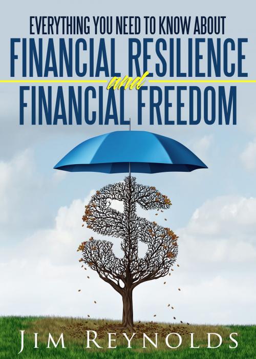 Cover of the book Everything You Need To Know About Financial Resilience & Freedom In 30 minutes: Learn How To Make Your Personal Finances Stronger by Jim Reynolds, Jim Reynolds