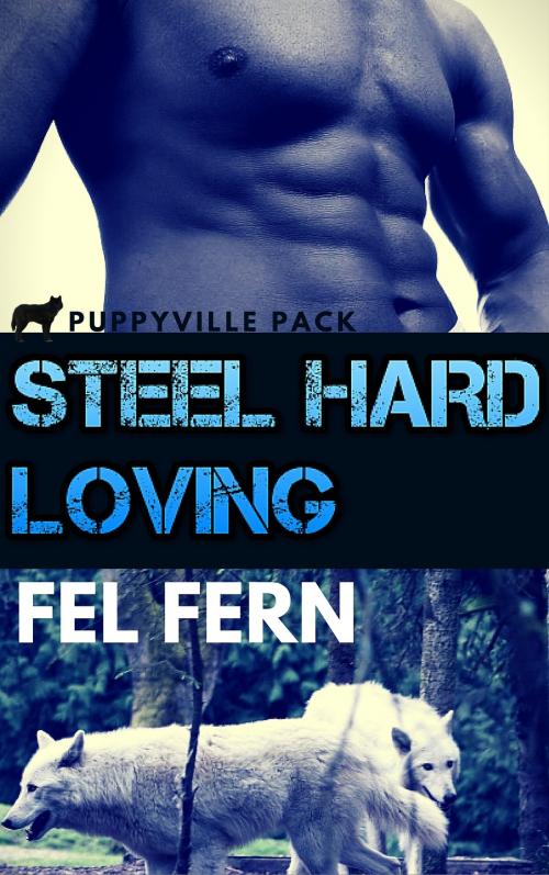 Cover of the book Steel Hard Loving by Fel Fern, FA Publishing