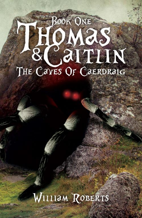 Cover of the book Thomas And Caitlin: Book One - The Caves Of Caerdraig by William Roberts, Austin Macauley