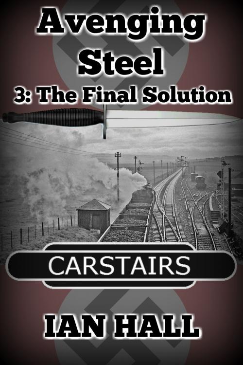 Cover of the book Avenging Steel 3: The Final Solution by Ian Hall, Ian Hall