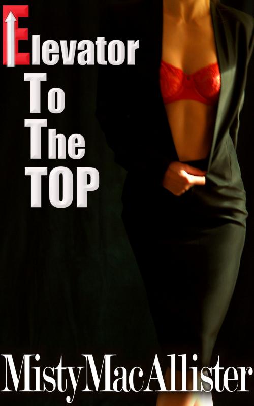 Cover of the book Elevator To The Top by Misty MacAllister, Misty MacAllister