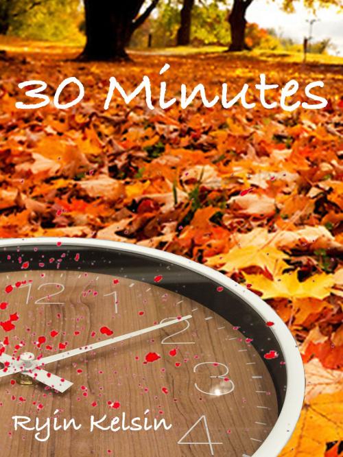 Cover of the book 30 Minutes by Ryin Kelsin, Ryin Kelsin