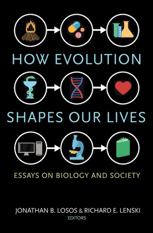 Cover of the book How Evolution Shapes Our Lives by , Princeton University Press