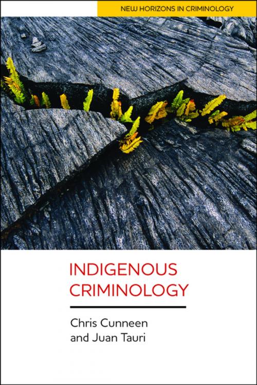 Cover of the book Indigenous criminology by Tauri, Juan, Cunneen, Chris, Policy Press