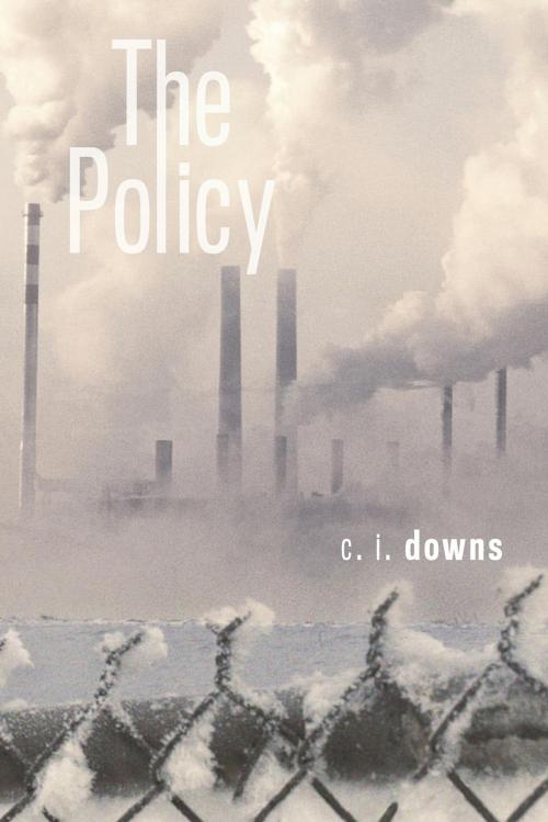 Cover of the book The Policy by c. i. downs, FriesenPress