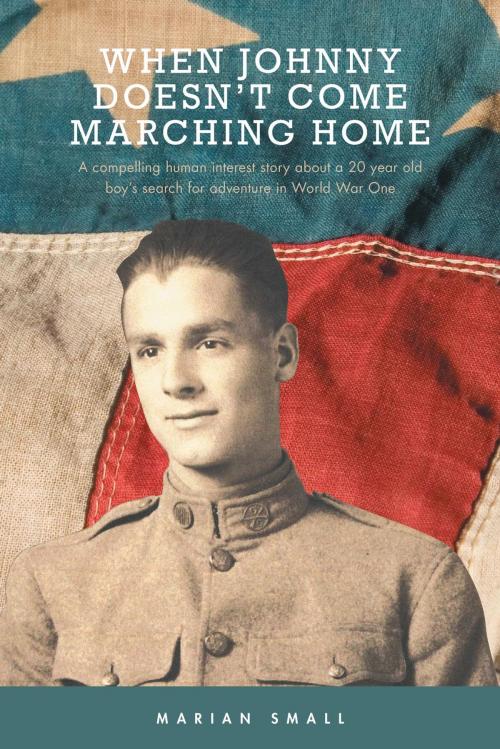 Cover of the book When Johnny Doesn't Come Marching Home by Marian Small, FriesenPress