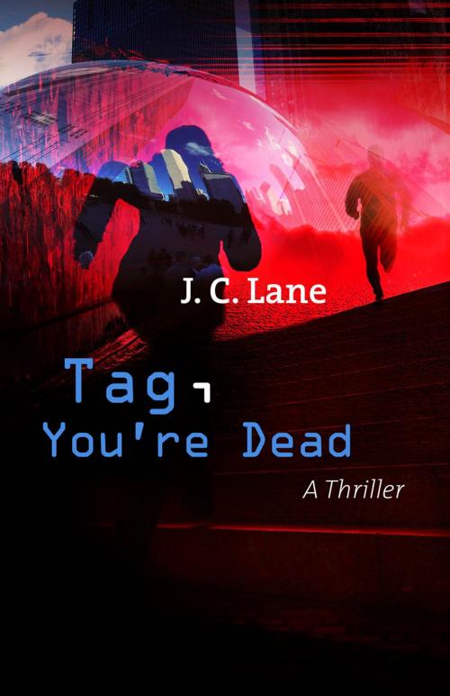 Cover of the book Tag, You're Dead by J C Lane, Sourcebooks