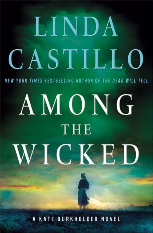 Cover of the book Among the Wicked by Linda Castillo, St. Martin's Press