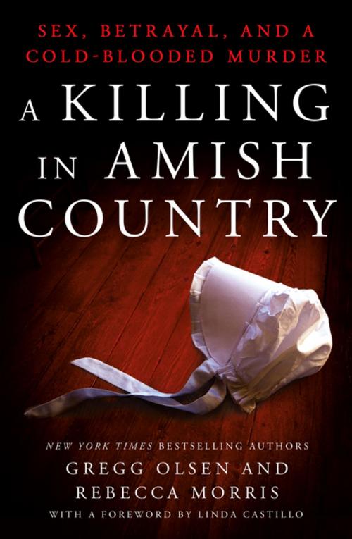 Cover of the book A Killing in Amish Country by Gregg Olsen, Rebecca Morris, St. Martin's Press