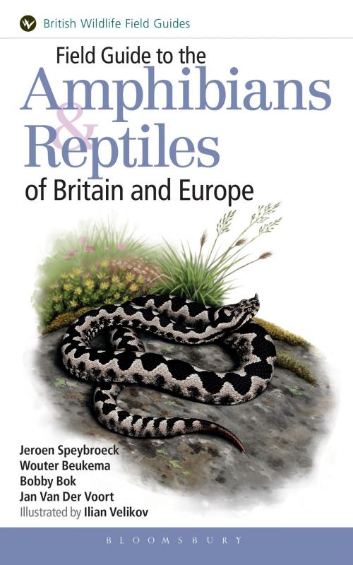 Cover of the book Field Guide to the Amphibians and Reptiles of Britain and Europe by Mr Jeroen Speybroeck, Mr Wouter Beukema, Mr Bobby Bok, Mr Jan Van Der Voort, Bloomsbury Publishing