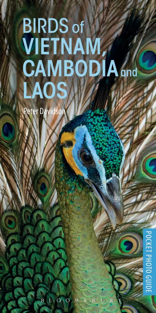 Cover of the book Birds of Vietnam, Cambodia and Laos by Peter Davidson, Bloomsbury Publishing
