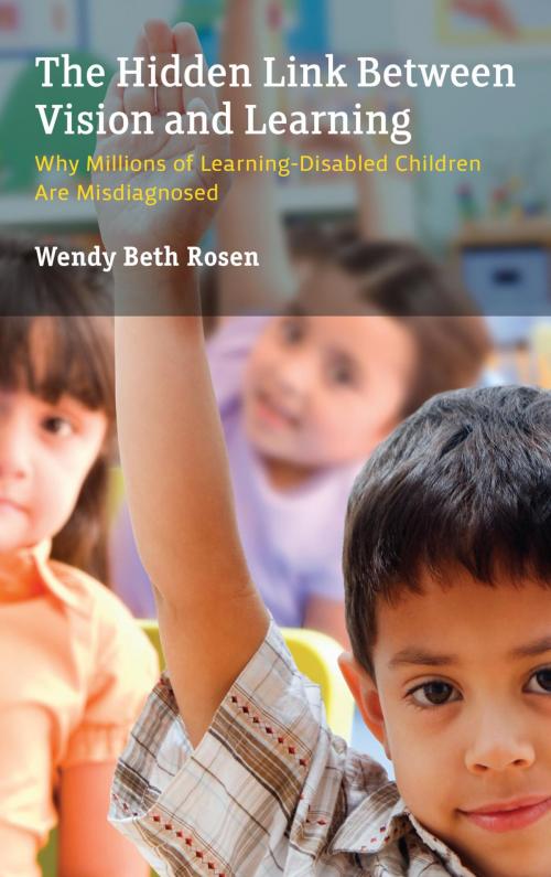 Cover of the book The Hidden Link Between Vision and Learning by Wendy Beth Rosen, Rowman & Littlefield Publishers