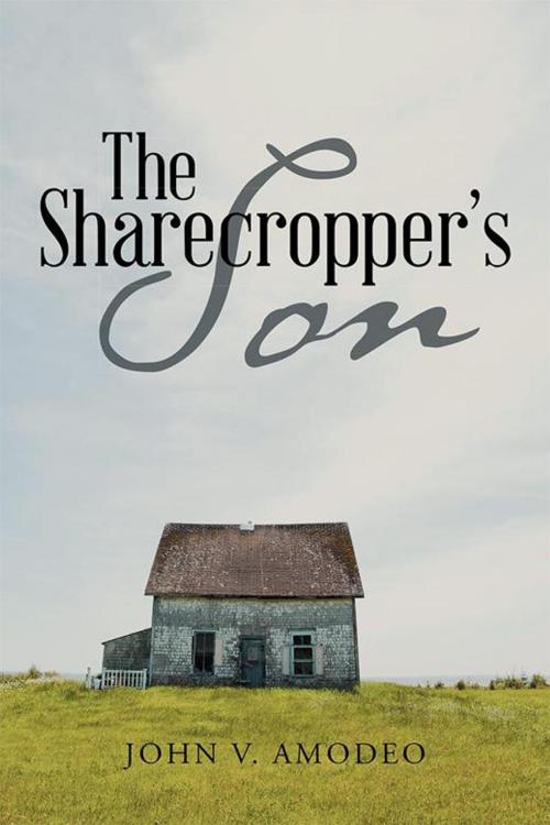 Cover of the book The Sharecropper's Son by John V. Amodeo, Archway Publishing