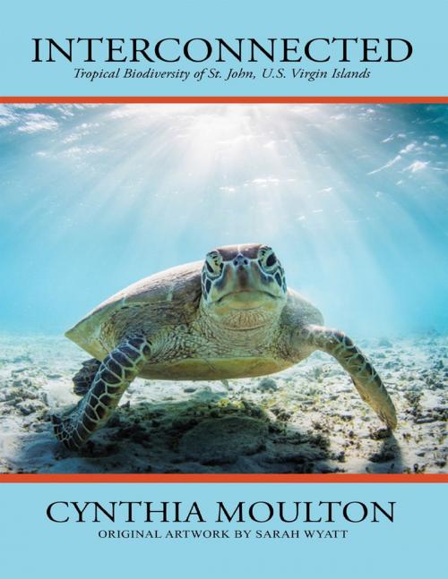 Cover of the book Interconnected: Tropical Biodiversity of St. John, U. S. Virgin Islands by Cynthia Moulton, Lulu Publishing Services