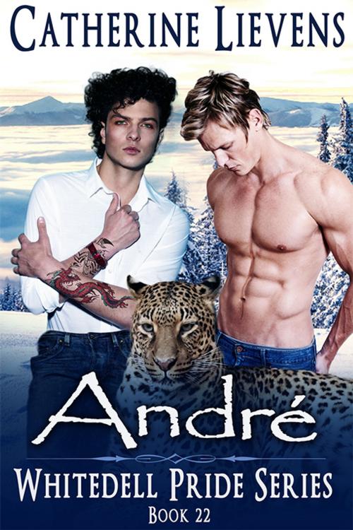 Cover of the book André by Catherine Lievens, eXtasy Books Inc