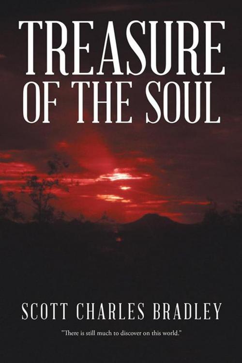 Cover of the book Treasure of the Soul by Scott Charles Bradley, iUniverse