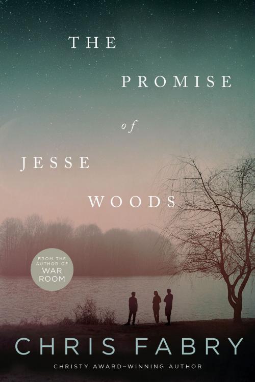 Cover of the book The Promise of Jesse Woods by Chris Fabry, Tyndale House Publishers, Inc.