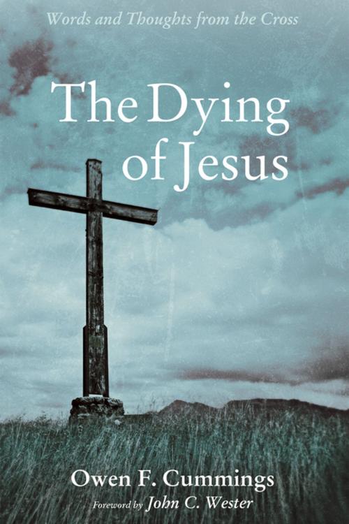 Cover of the book The Dying of Jesus by Owen F. Cummings, Wipf and Stock Publishers