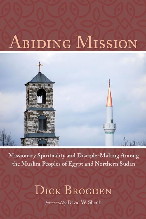 Cover of the book Abiding Mission by Dick Brogden, Wipf and Stock Publishers