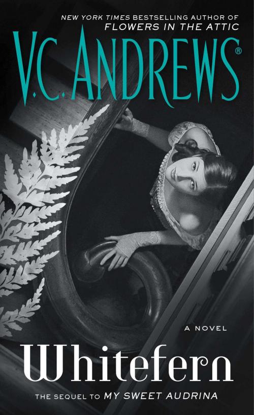Cover of the book Whitefern by V.C. Andrews, Pocket Books