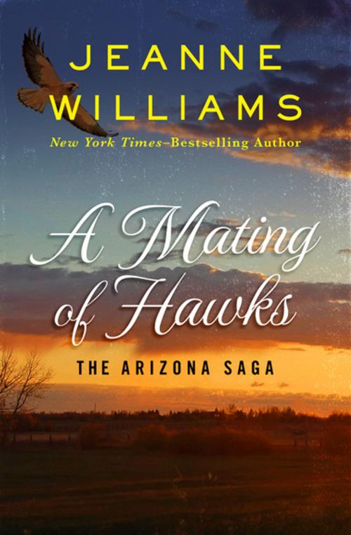 Cover of the book A Mating of Hawks by Jeanne Williams, Open Road Media